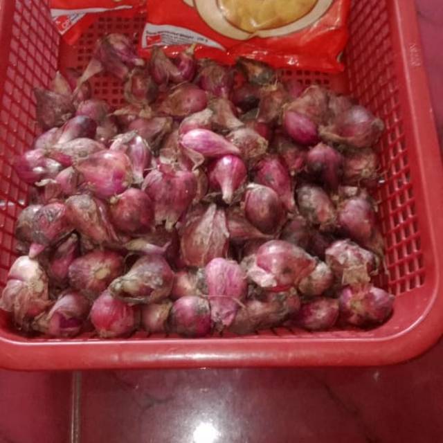 

Bawang merah
