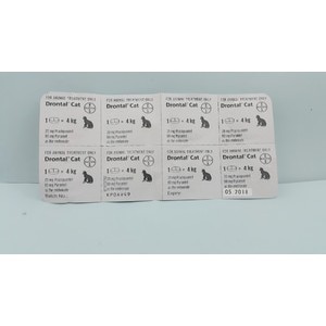 Obat cacing kucing drontal Cat