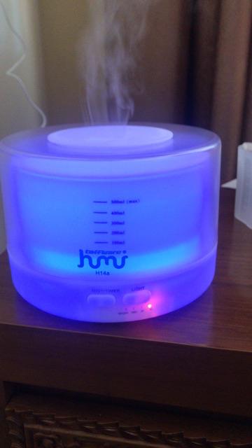 6pcs 10ml Oils Aromatherapy Difuser Pure Essential Fragrance | Minyak Aromaterapi 6in1