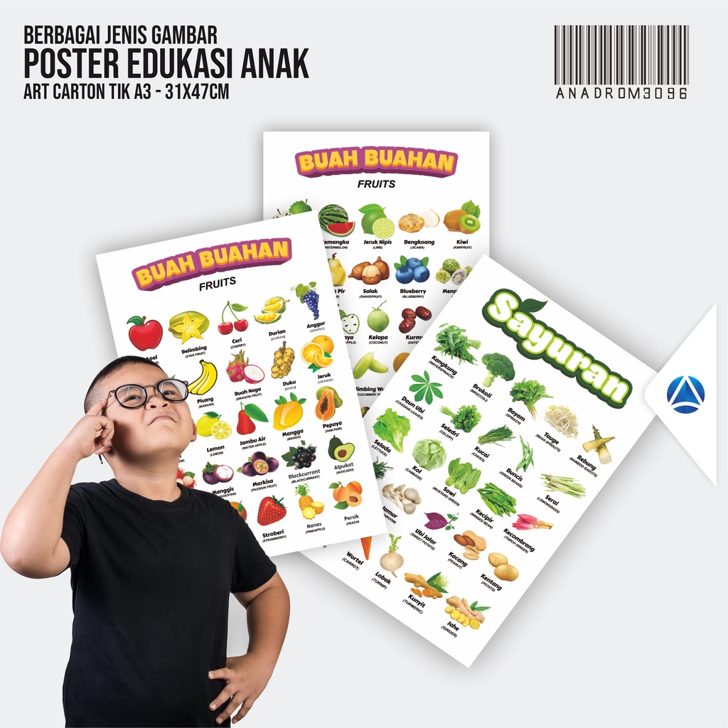 

POSTER EDUKASI ANAK | MEDIA BELAJAR ANAK | POSTER DINDING A3 | Anadrom 3096