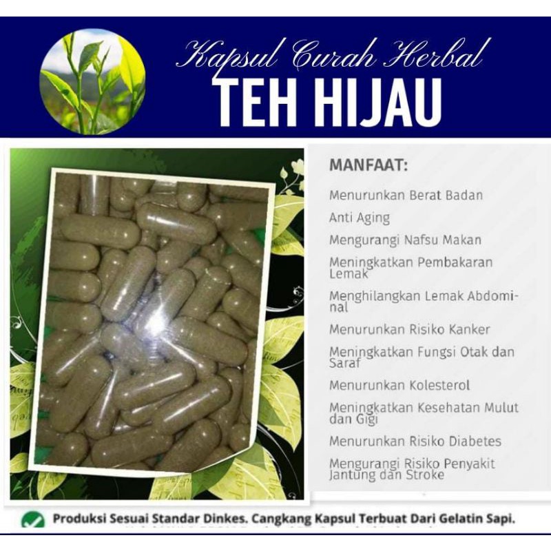 TEH HIJAU KAPSUL HERBAL CURAH 100