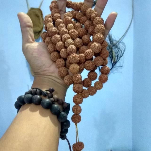 Tasbih 99 jenitri 14mm genitri rudraksha asli 100% ready galih asem setigi nagasari katilayu pipa