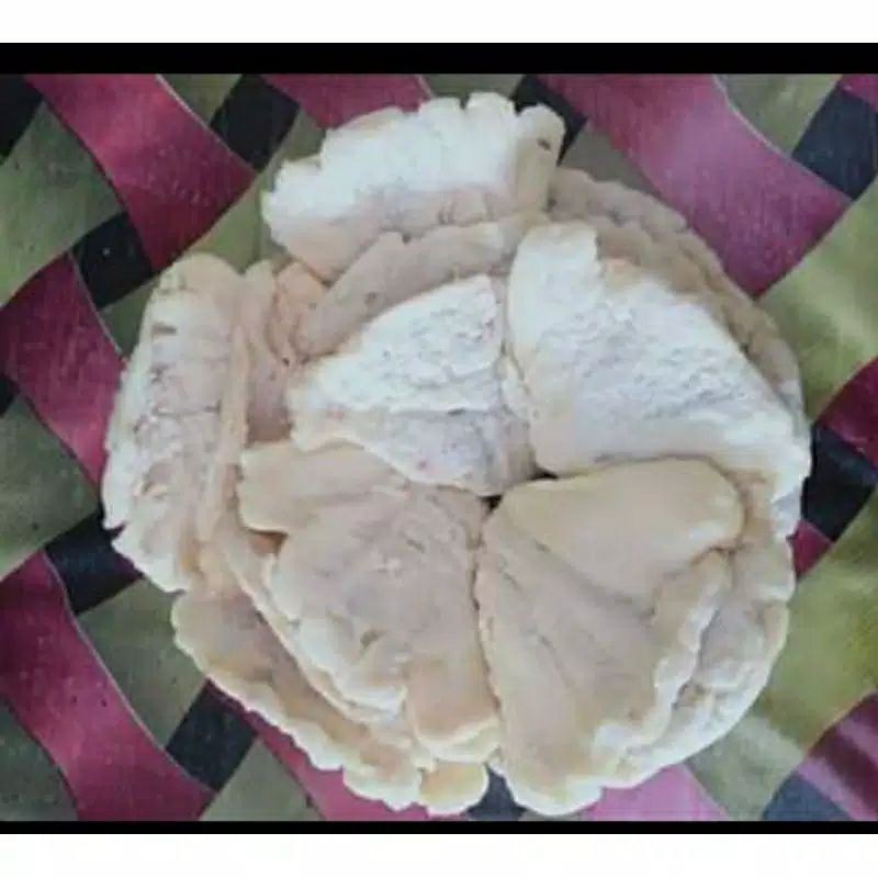 Pisang Kipas Pekanbaru Frozen