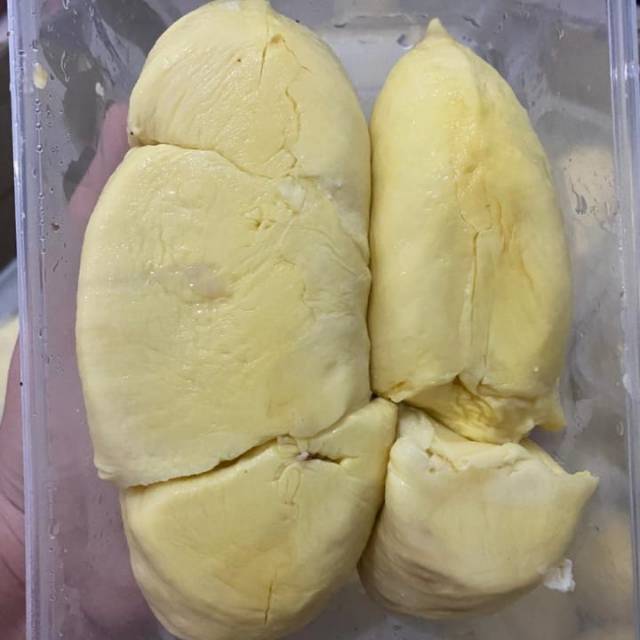 

Durian monthong palu