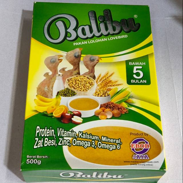 Balibu pakan lolohan burung lovebird