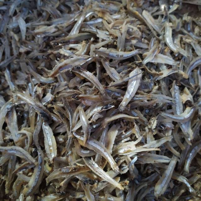 

Teri Jengki 100 gr