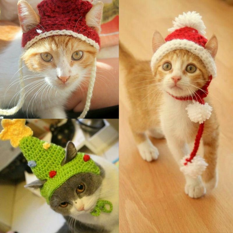 Christmas Crochet Hat for Cat