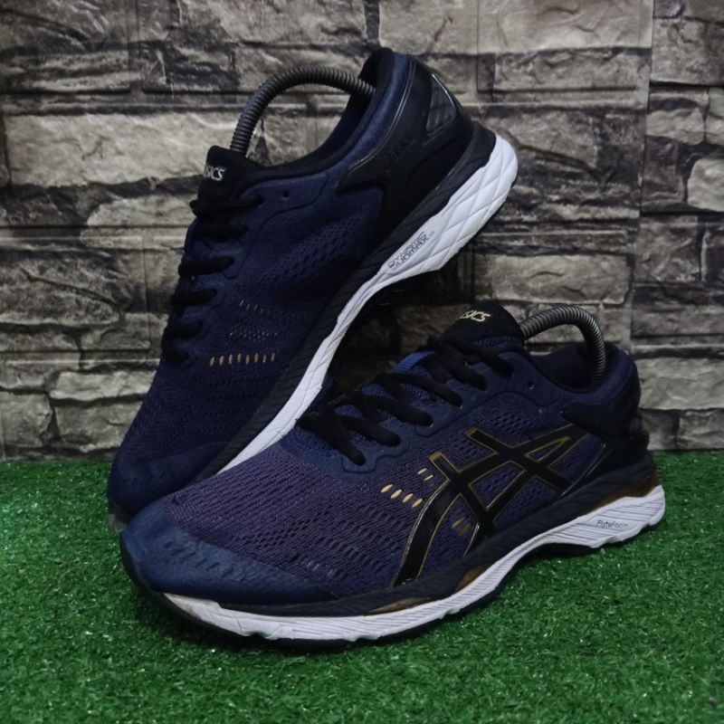 Asics Gel Kayano 24