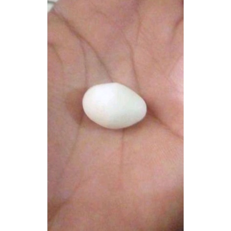 bandul kalung unik & antik juga menarik