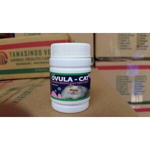 OVULA CAT