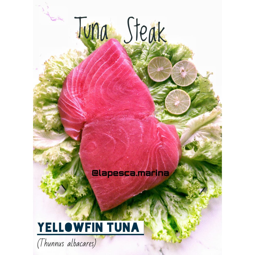 

Tuna Steak FROZEN Premium Quality