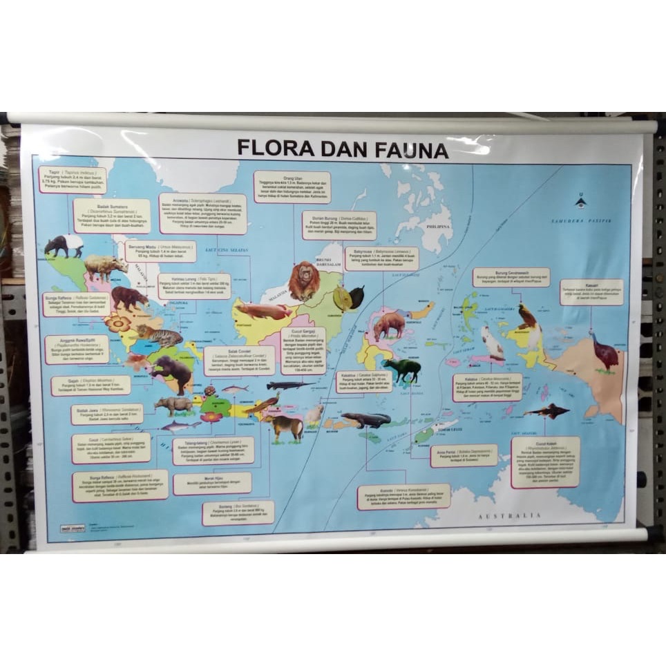RB Peta Flora dan Fauna di Indonesia Bingkai