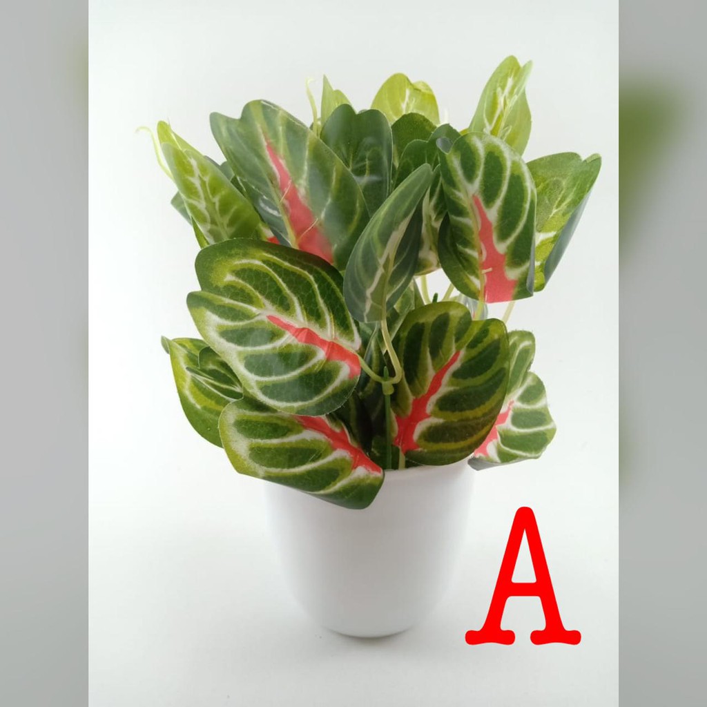 COD TANAMAN HIAS TANAMAN DAUN PLASTIK TANAMAN HIAS RUMAH BUNGA HIAS BUNGA PLASTIK BUNGA BP8844-A