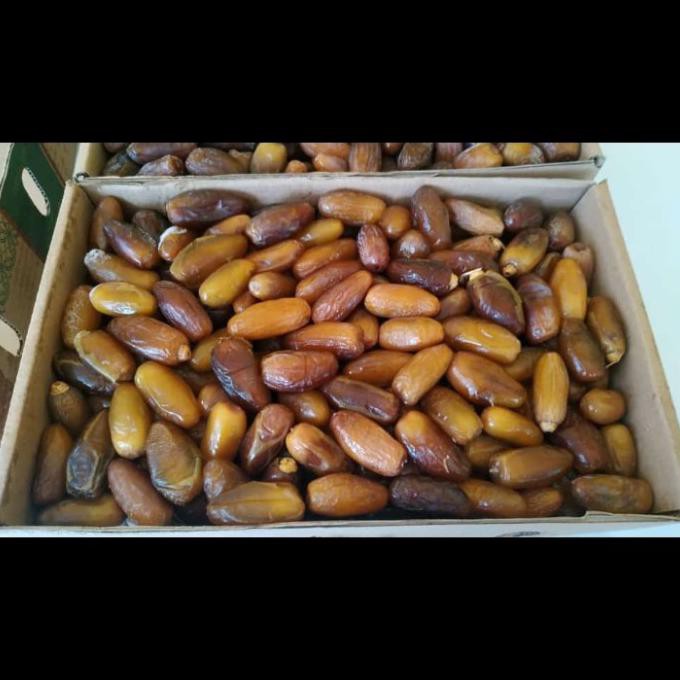 

Kurma Ruthob- Kurma Muda 1 Kg Arkanamarketht