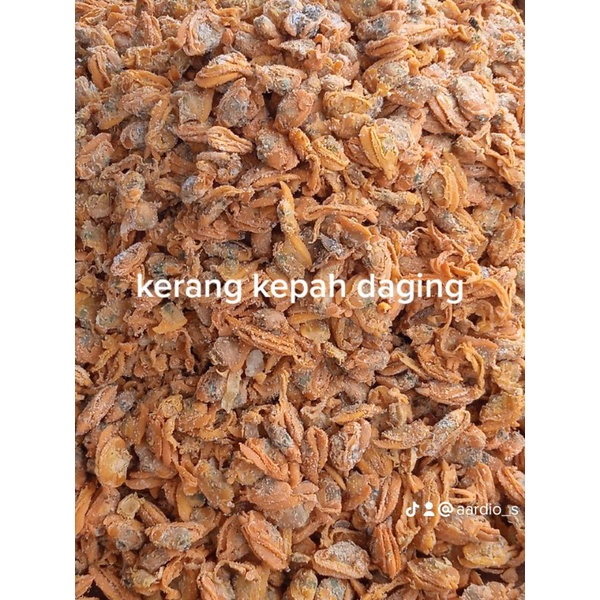 

Daging kerang kepah 100 gr