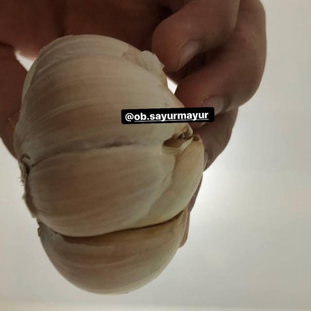 

Bawang Putih / Garlic 250gram