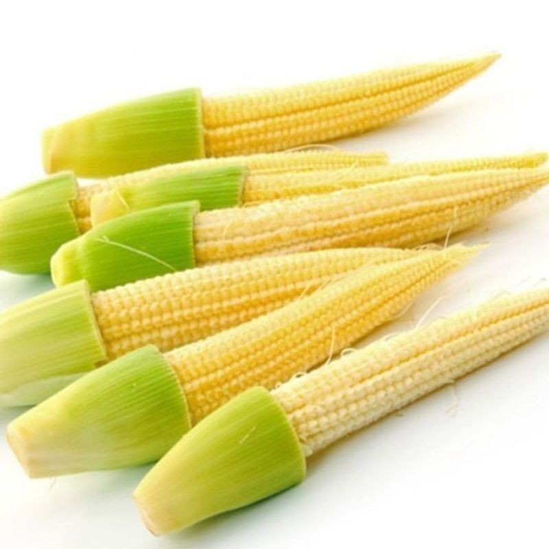 

250gr jagung baby / baby jagung / janten / jagung kecil /sayuran fresh