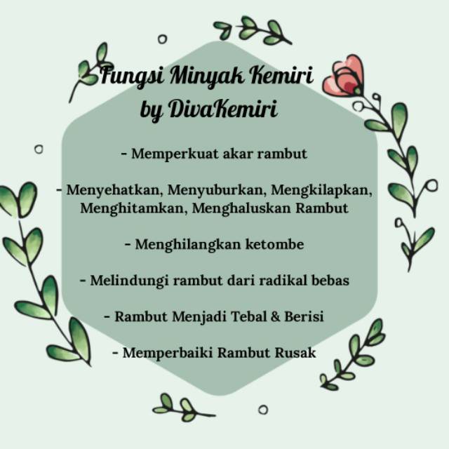 Minyak Kemiri 100% Asli