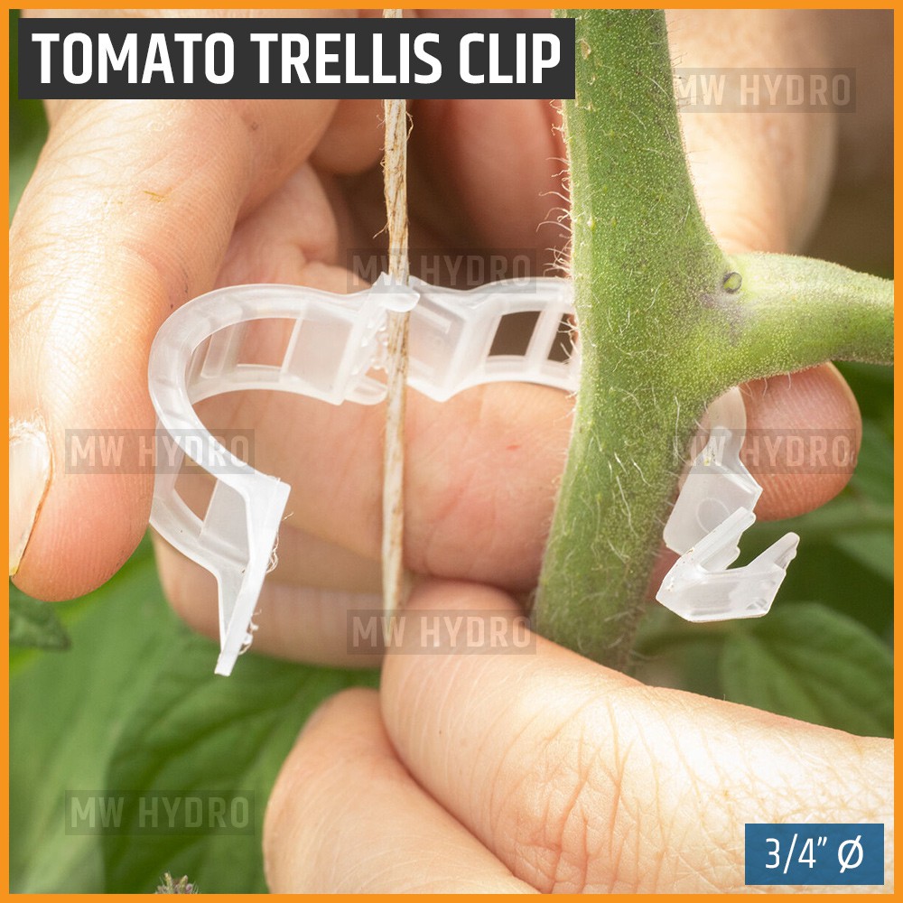 10 pcs Tomato Trellis Clip / Plant Clip - Klip Tali Lanjaran Tanaman Tomat
