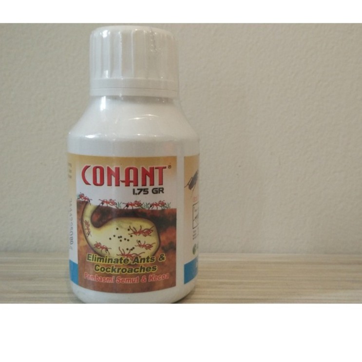 Conant racun semut dan kecoa