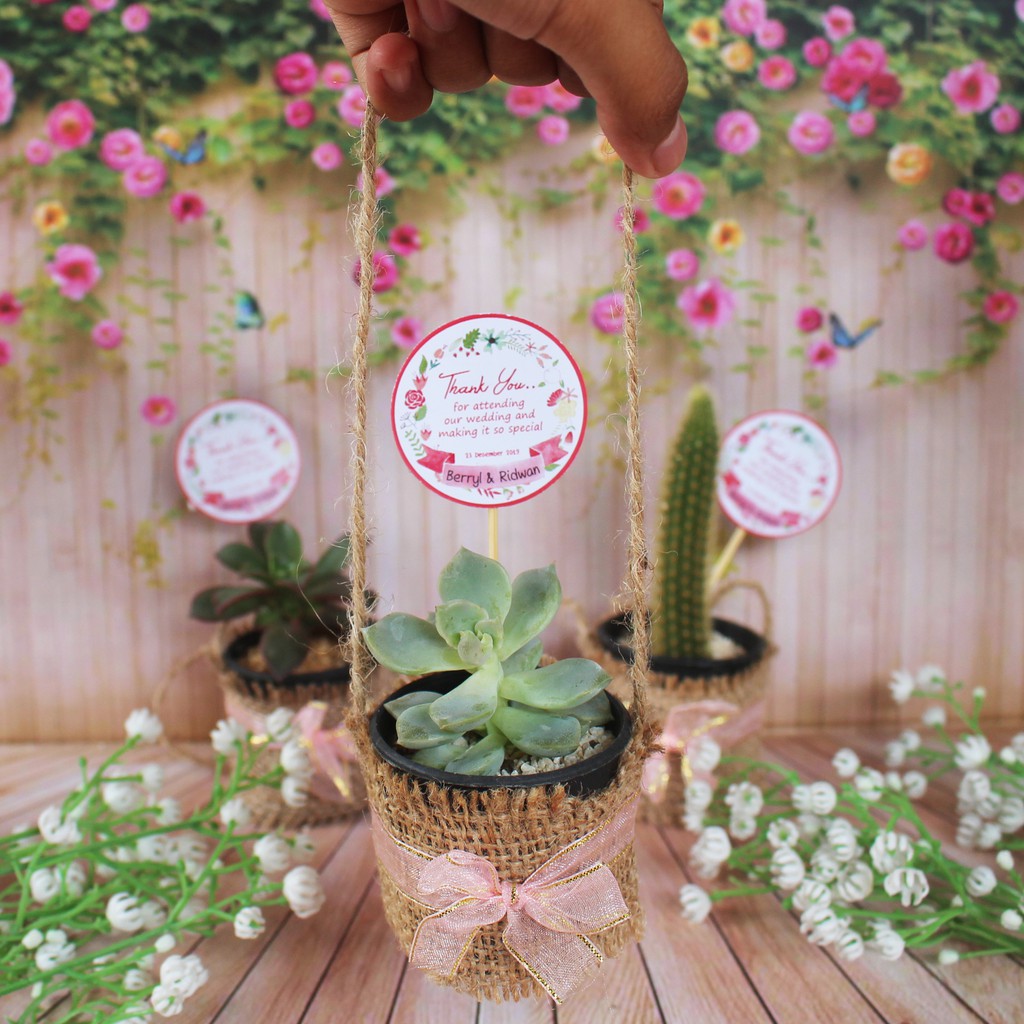 

(Min 100pcs) Sukulen Goni Pita 6cm - Souvenir Pernikahan Unik