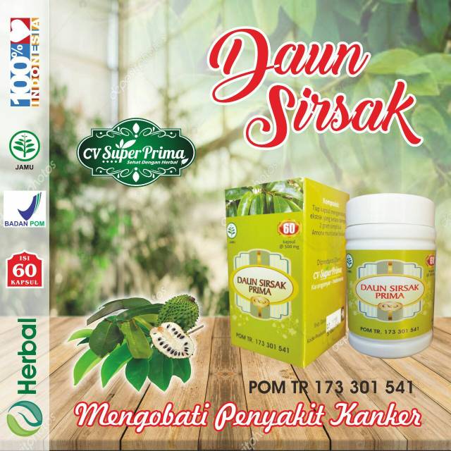 HERBAL DAUN SIRSAK MENGOBATI EXIM DAN REMATIK