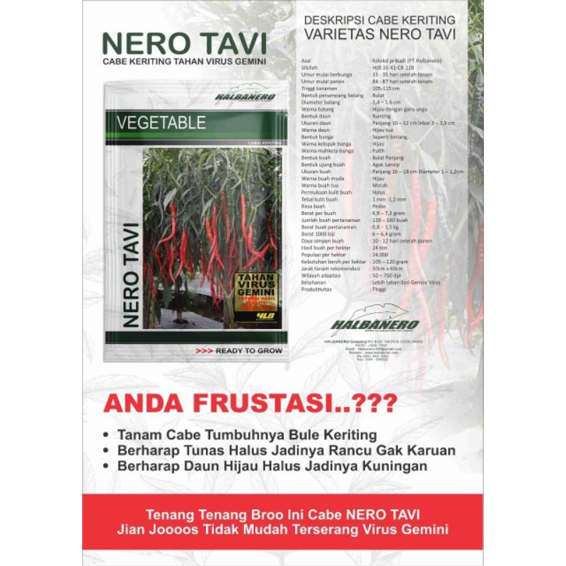 Nero Tavi f1 Cabe Kriting Tahan Virus 15gr