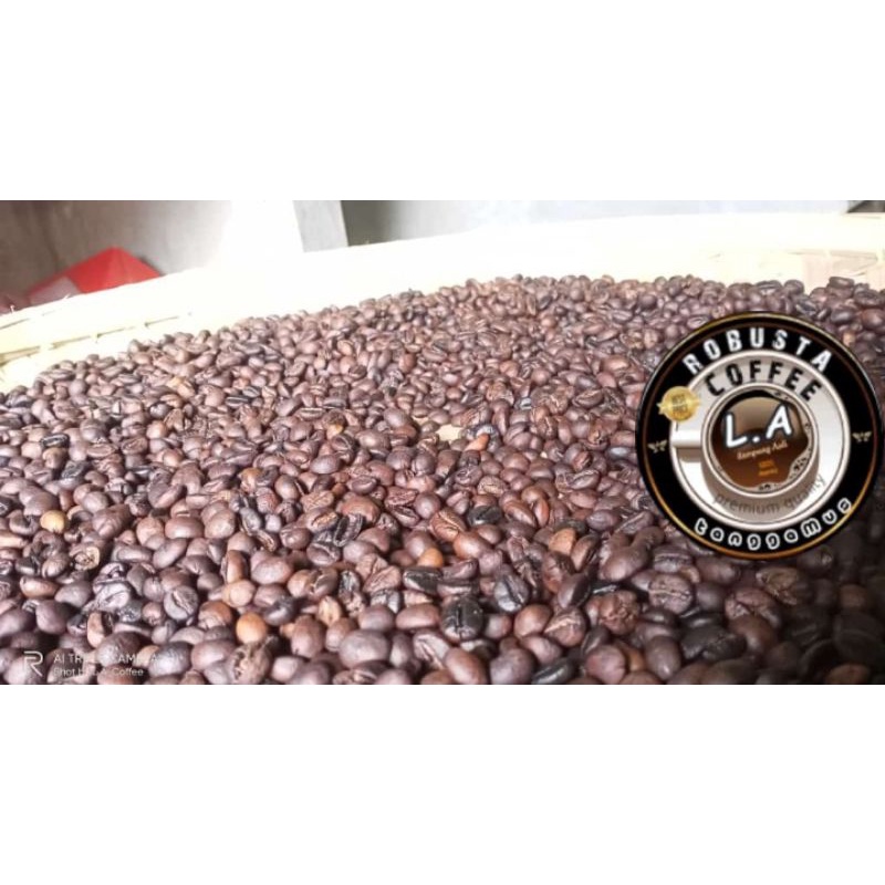 

RoastBean Manual Gerabah Vintage 1kg ROBUSTA