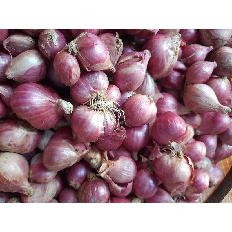 

bawang merah