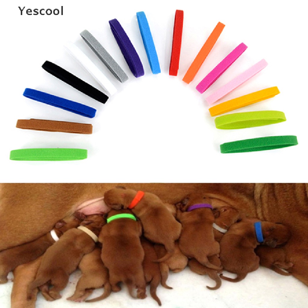 Yescool 12pcs / Set Kalung Collar Untuk Anak Anjing / Kucing