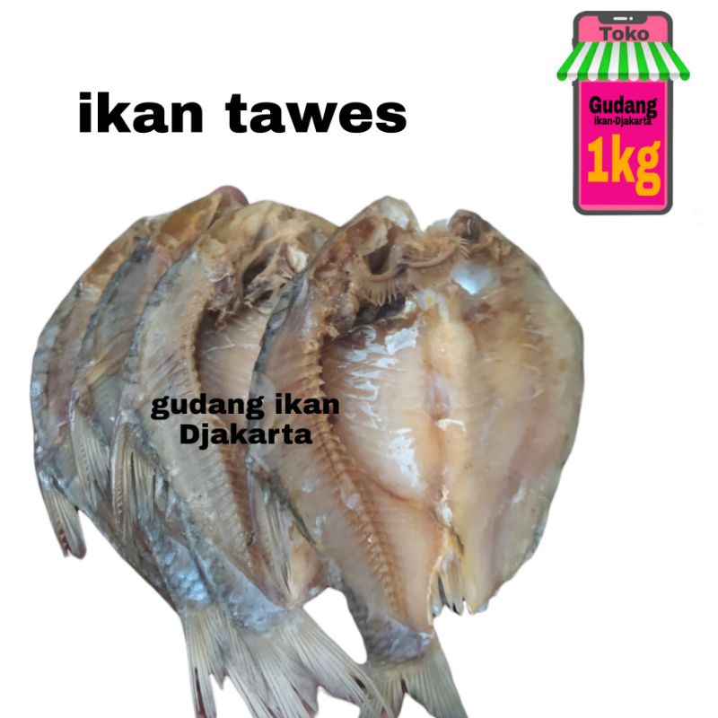 

ikan asin tawes belah netto1kg