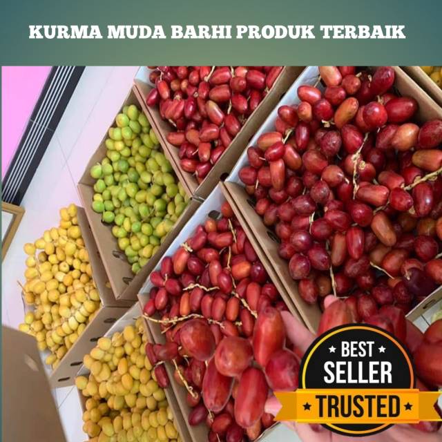 

100% PROMIL AMPUH DENGAN KURMA KUDA