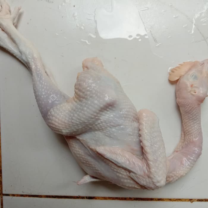 

Ayam Kampung Utuh 500-600gr/ekor