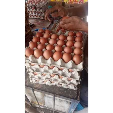 

telur coklat blitat