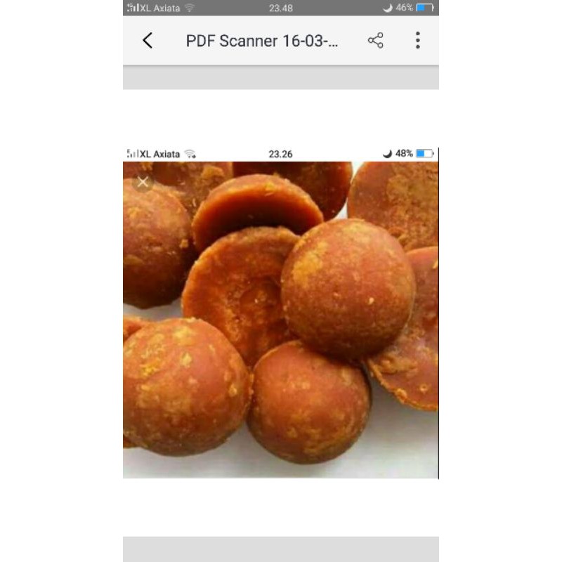 Gula Aren Asli Lombok NTB