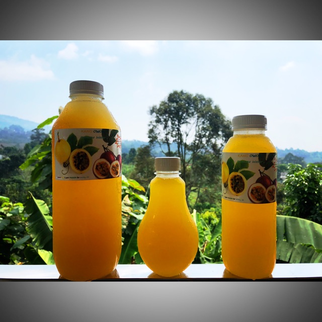 

Minuman IMMUNE WATER Siap Langsung Diminum