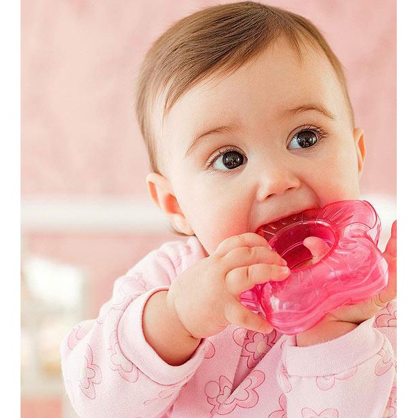 DODO Gigitan Bayi  / Water Teether Reliable / Gigitan Bayi