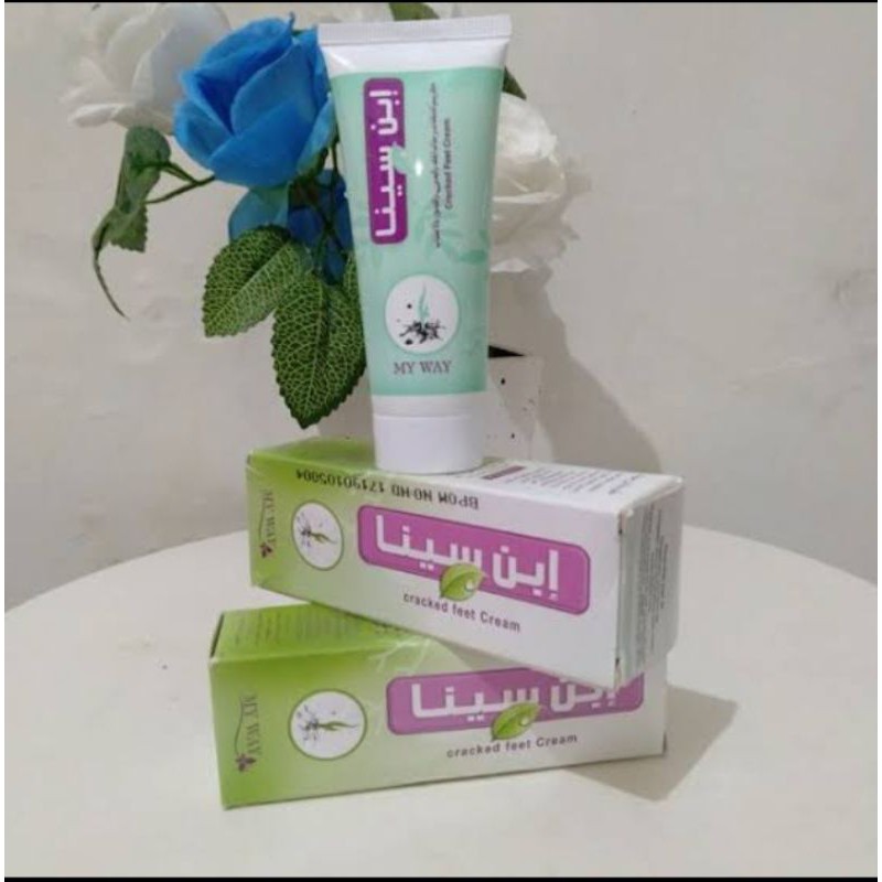 IBN SINA SALAP KULIT MY WAY