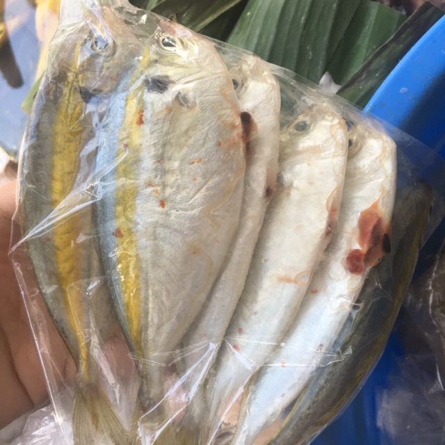 

Ikan selar segar (perbungkus)