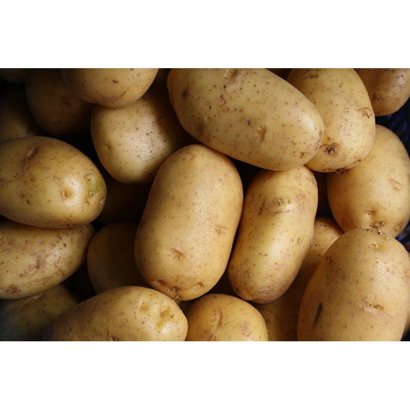 

Kentang Dieng Kuning /1kg