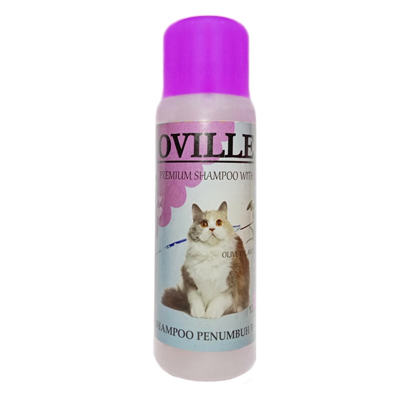 TERMURAH SAMPO KUCING BULU RONTOK SAMPO PENUMBUH BULU AMPUH OVILLE