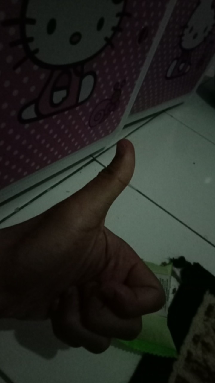 Dempul Sanpolac 250 Gr / Dempul Plastik 1/4 Kg Dempul Kayu Besi Mobil Motor Dengan Hardener