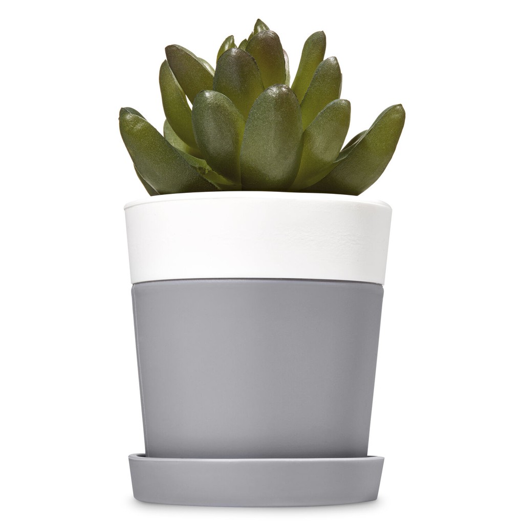 Succulent Cactus for desk - Pocketbac Holder Bath &amp; Body Works