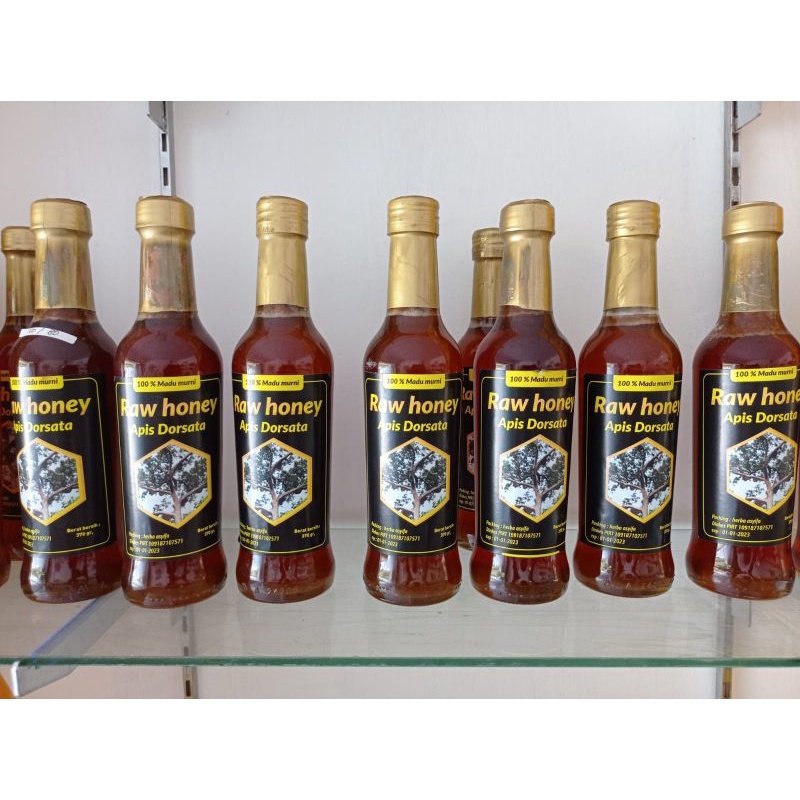 

Madu hutan jambi apis dorsata