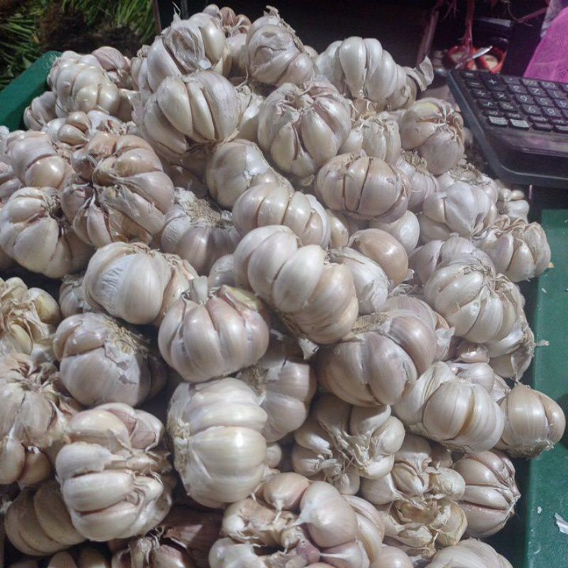

BAWANG PUTIH HONAN 1KG