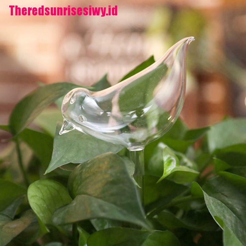 %Home &amp; living%%Plant Waterer Self Watering Globes, Bird Shape Hand Blown Clear Aqua Bulbs