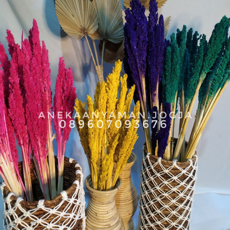 

bunga kering cantel warna