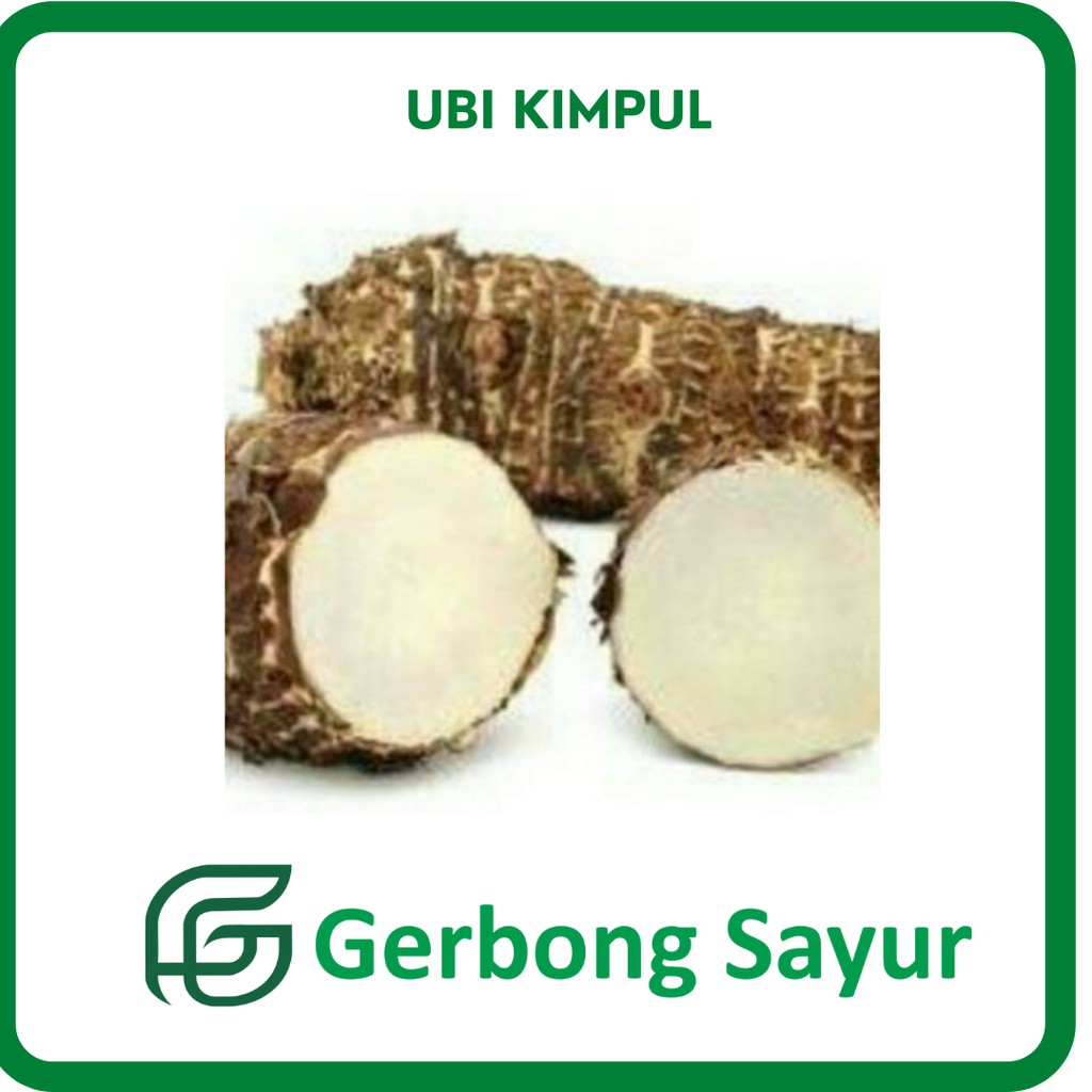 

Ubi Kimpul Segar - 1 Kg
