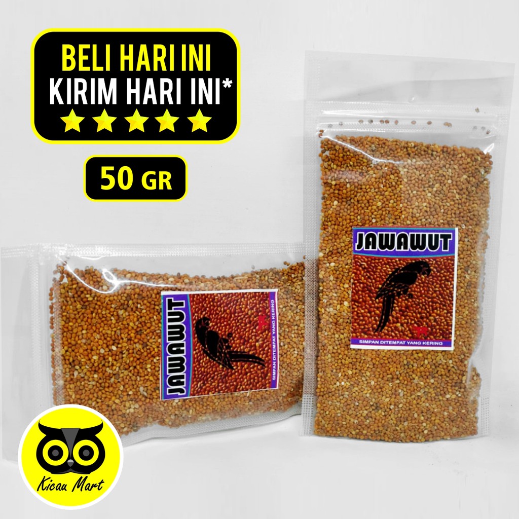 BIJI JEWAWUT BIJI JAWAK KUNYIT JUWAWUT SEKOI FOXTAIL MILLET MILET JAWAWUT PAKAN BURUNG KENARI JAWARF
