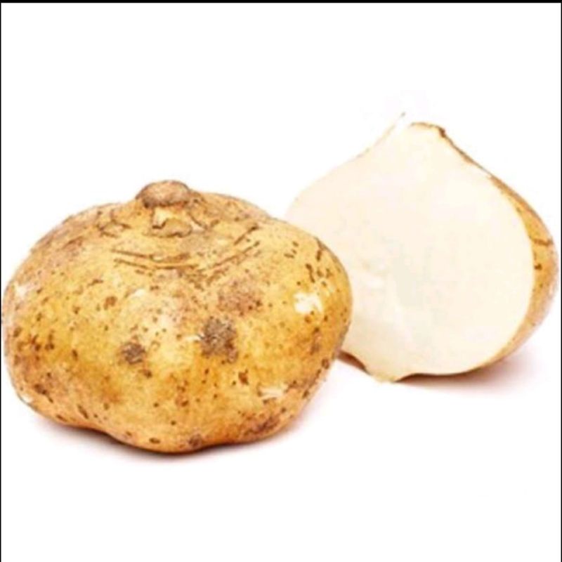 

Buah Bengkoang Berat 1 Kg